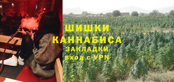 мет Ельня