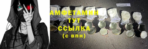 мет Ельня