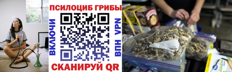 площадка Telegram  kraken зеркало  Ногинск  Галлюциногенные грибы мицелий 